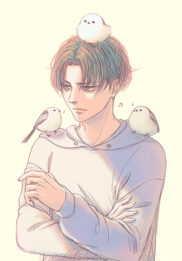 Levi Log (1)