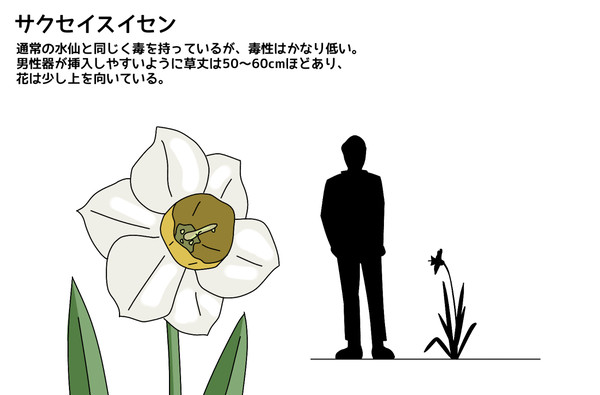 搾精スイセン