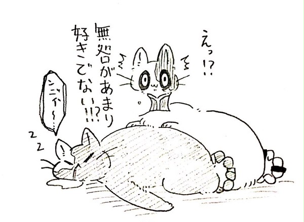 無常のにゃん まとめ
