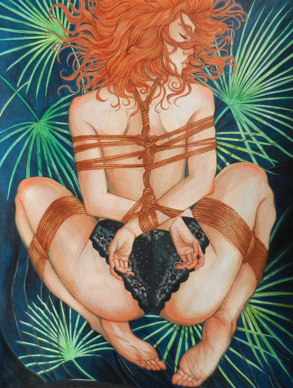 Ferns