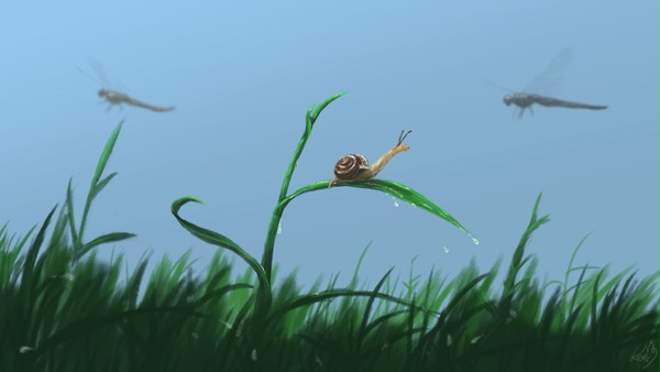 fly