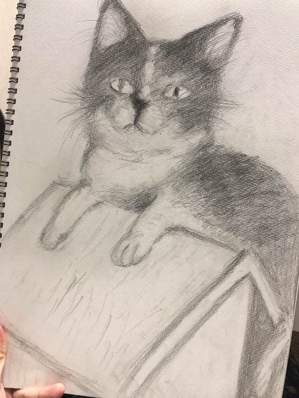 ねこ🐱