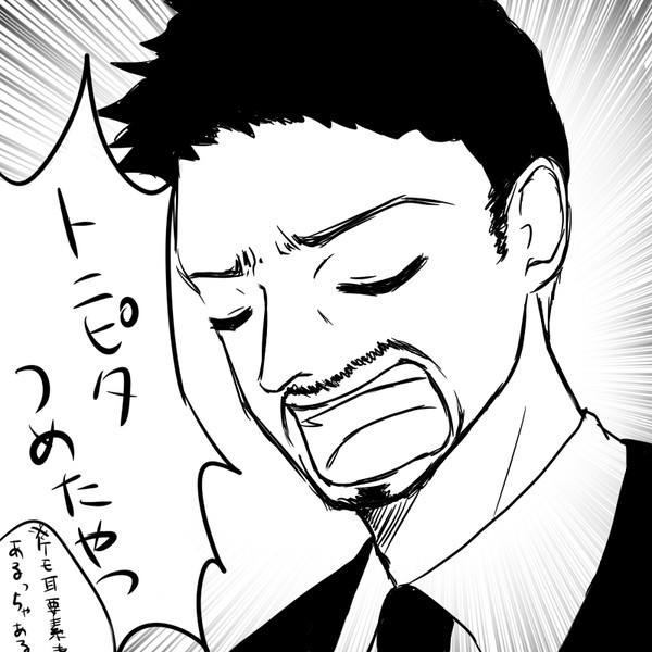 トニピタ詰め