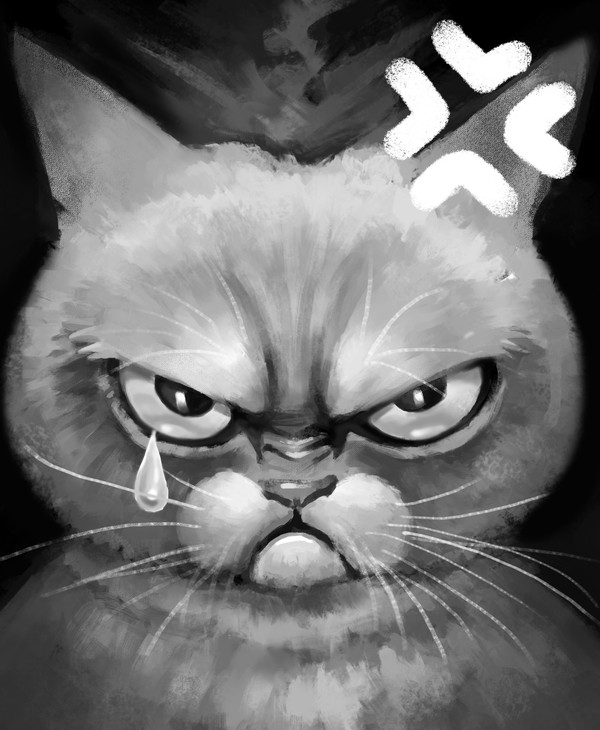 daily mood