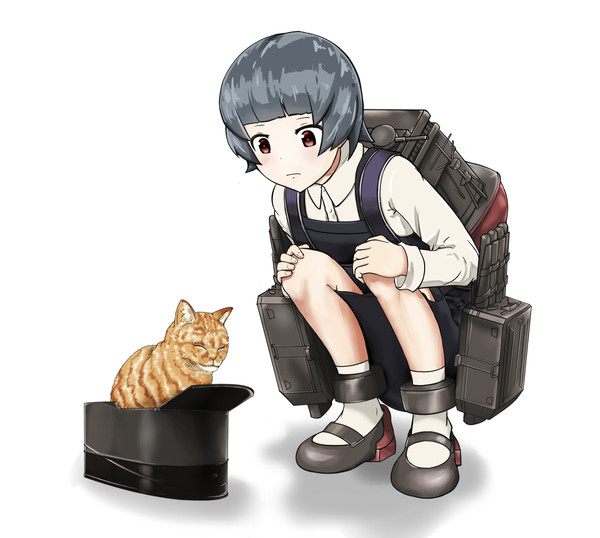 霰と猫