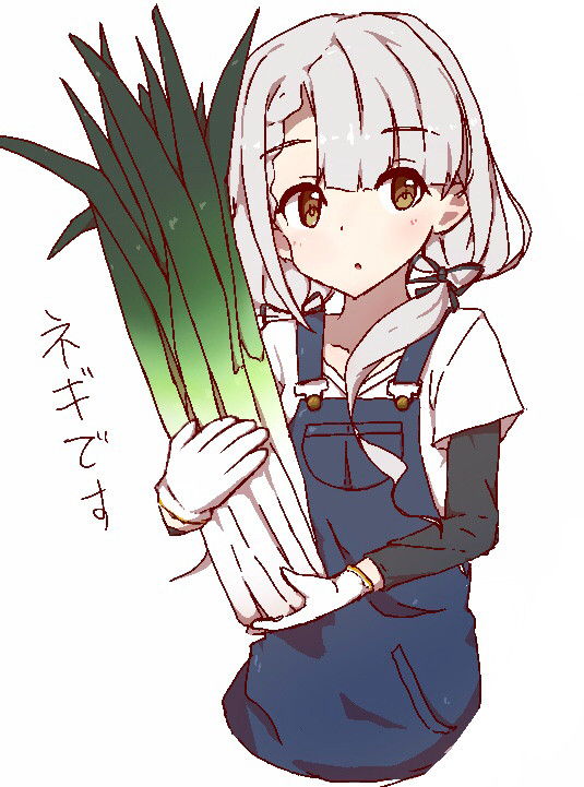 ネギです