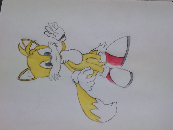 月狼の初描き集