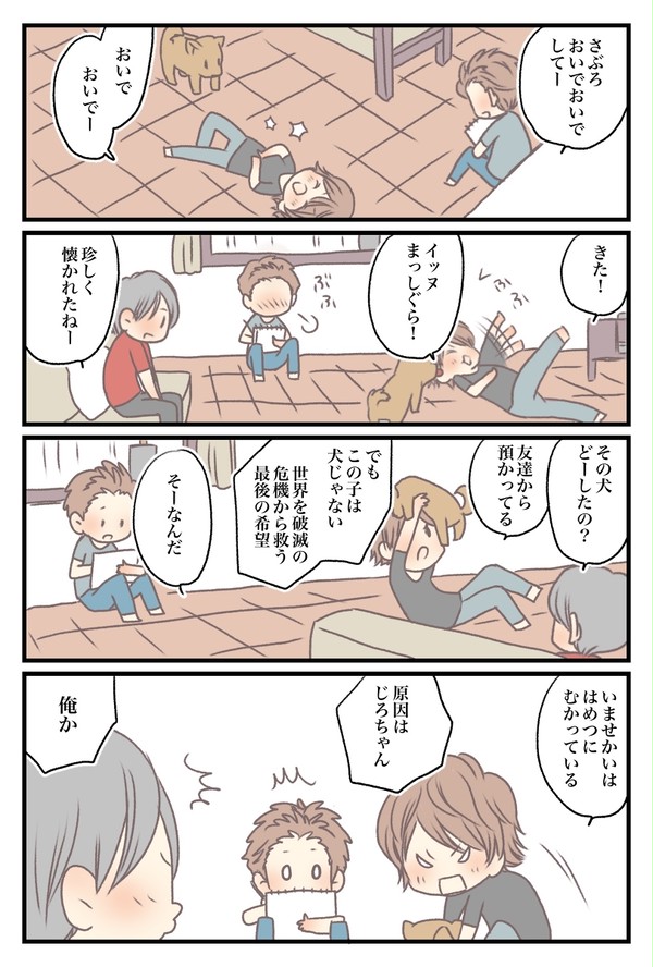 わんこ