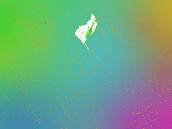 The fallen leaf
