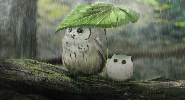 雨宿り