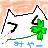 ねこ？