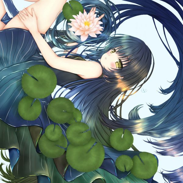 睡蓮