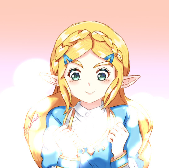 ブレスオブザワイルド