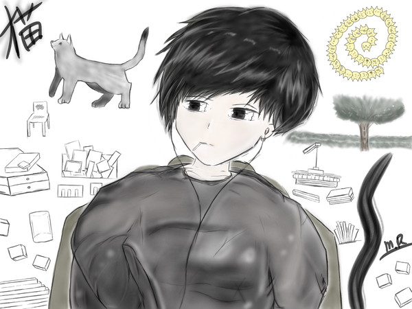 猫