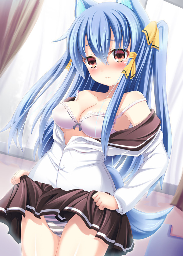 今日もがんばりますー