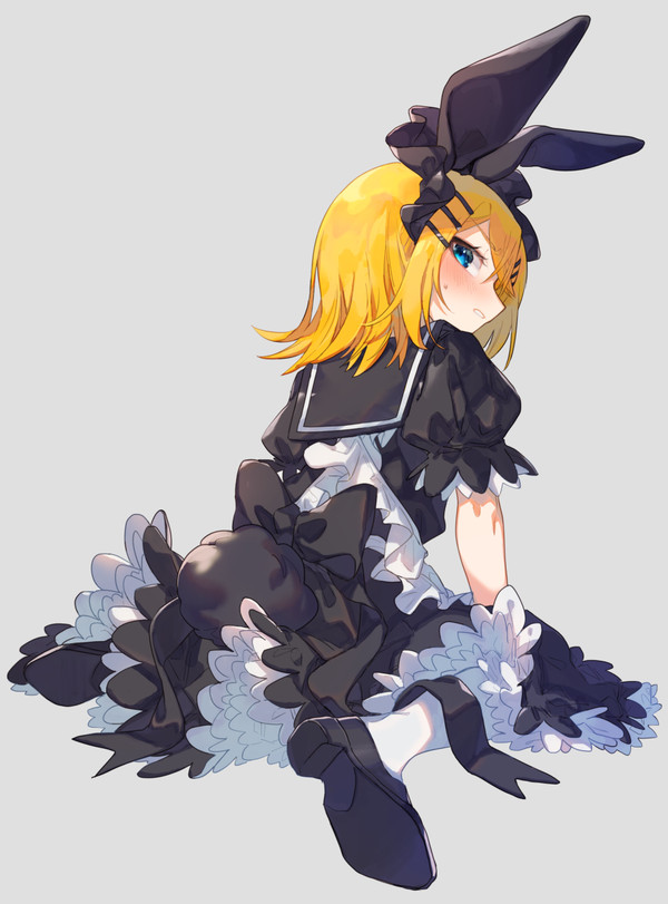 usa/maid
