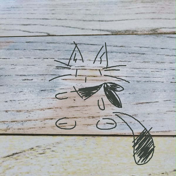 姑蘇~周庄的猫~