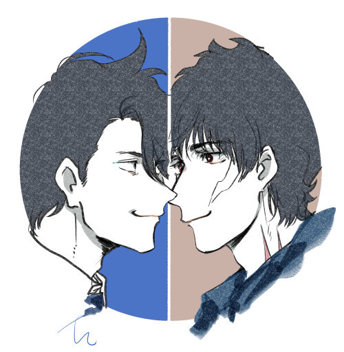 ダニステつめあわせ小