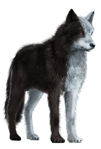 Hati