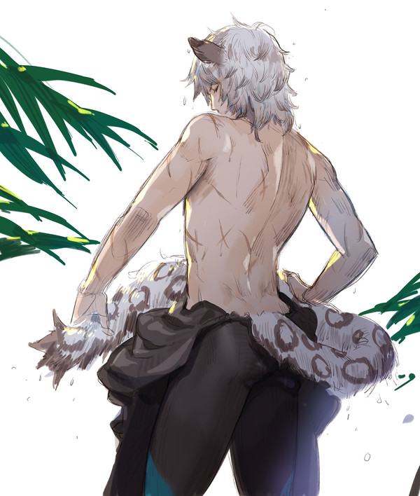 尾巴湿了