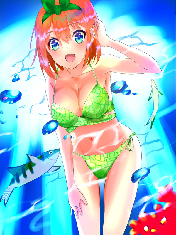上杉さーん！魚ですよ！