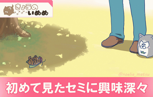 夏のいぬぬ