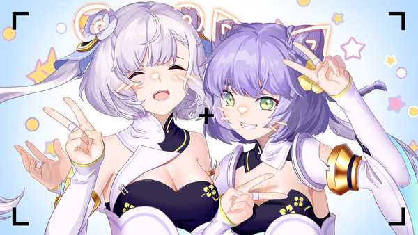 补充