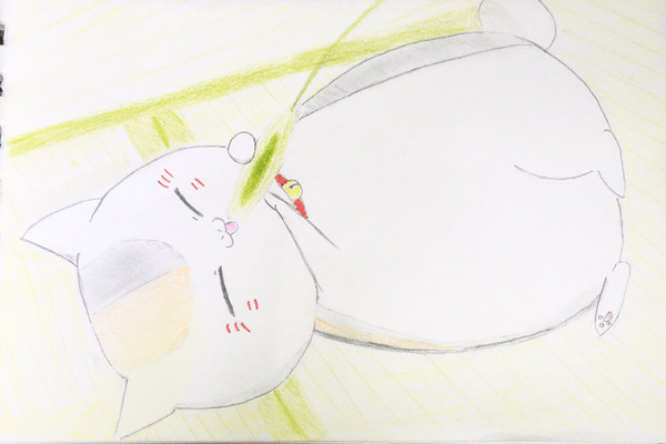 夏目友人帳