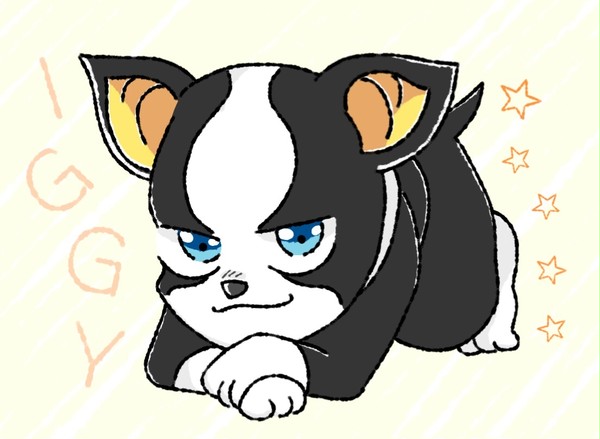 IGGY！