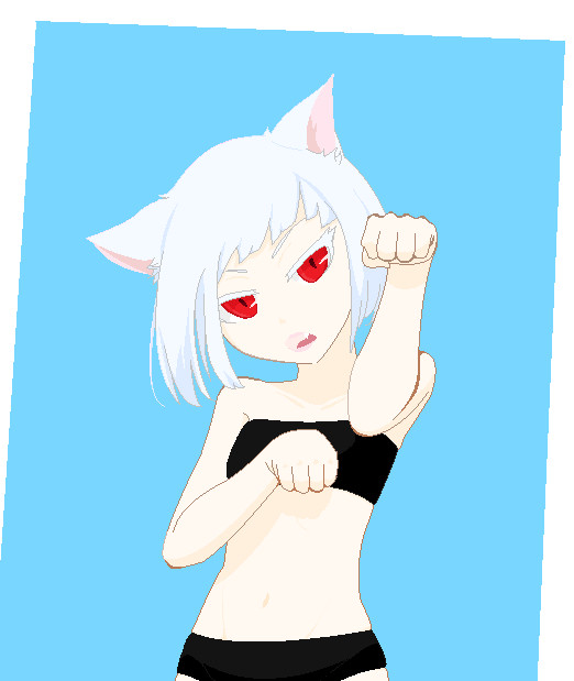 シロネコ