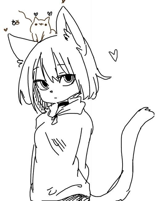 커여운 고양이 수인