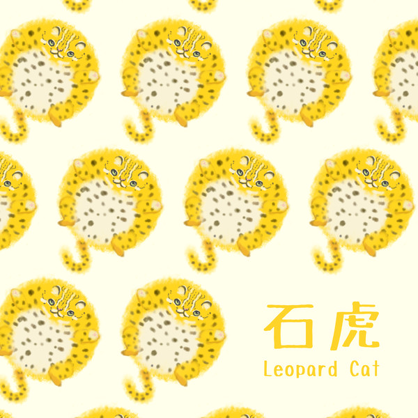 石虎 Leopard Cat