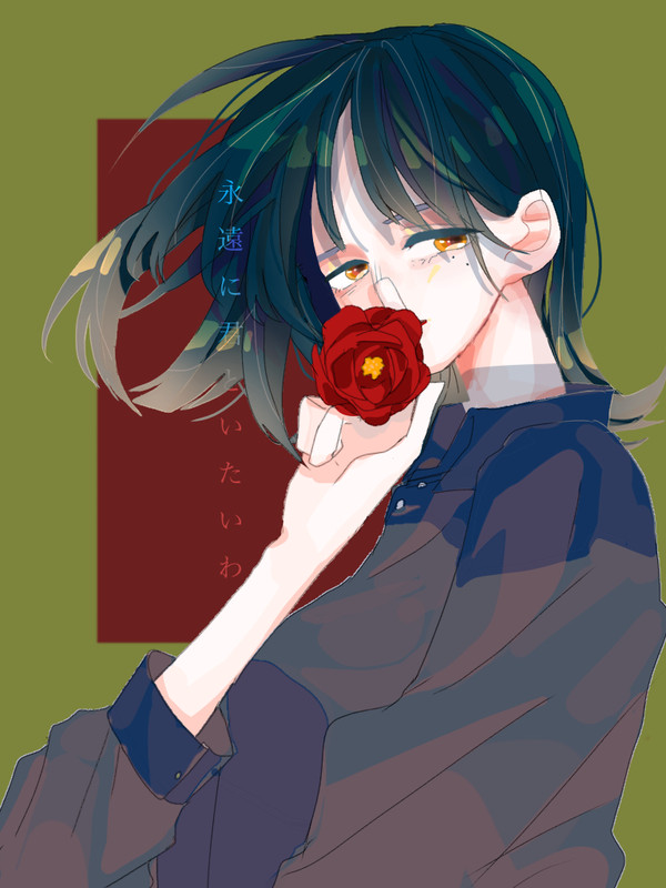 綺麗に咲くから枯らさないで