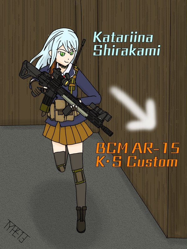 ã«ã¿ãªãŒãã·ã©ã«ã BCM AR-15 Run & Gun
