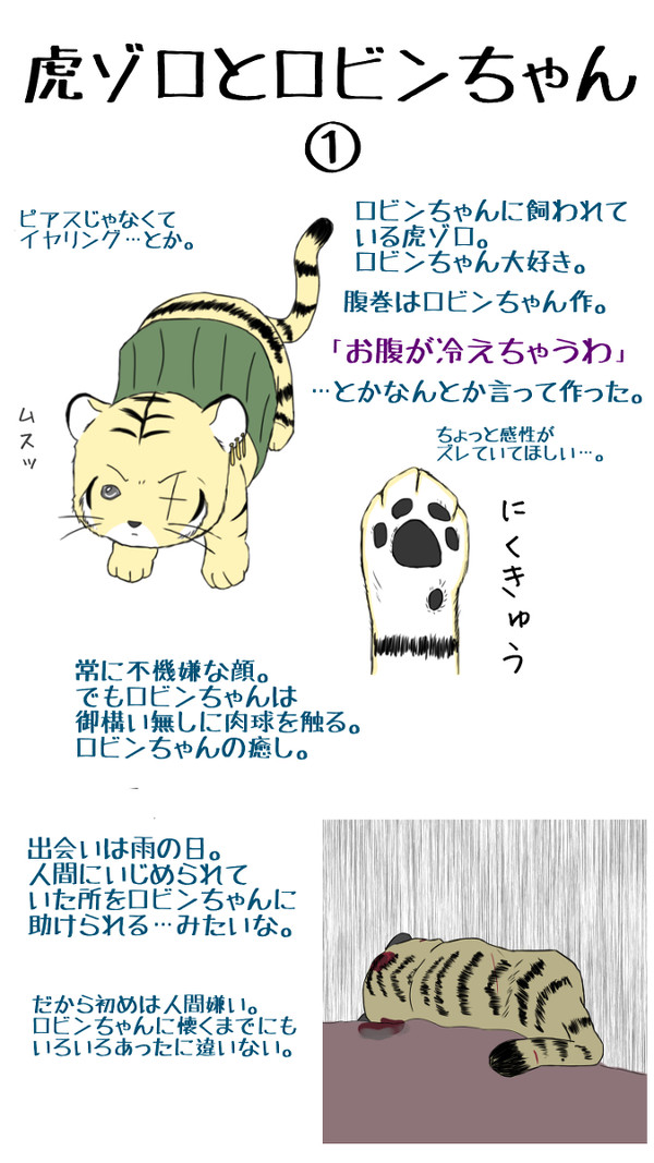 虎ゾロとロビンちゃん