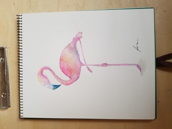 フラミンゴ