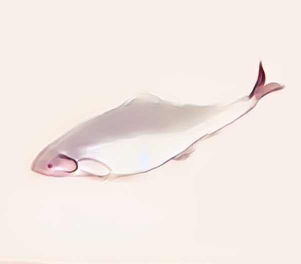 アイコンかえました