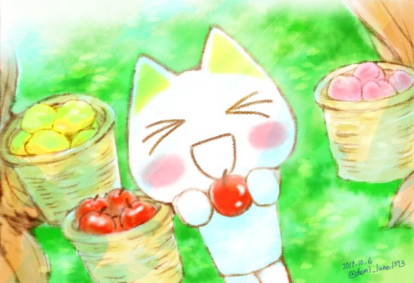 「この白い猫と暮らしていたことがありますか?」