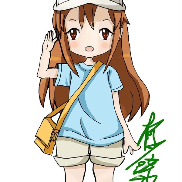 工作細胞-血小板