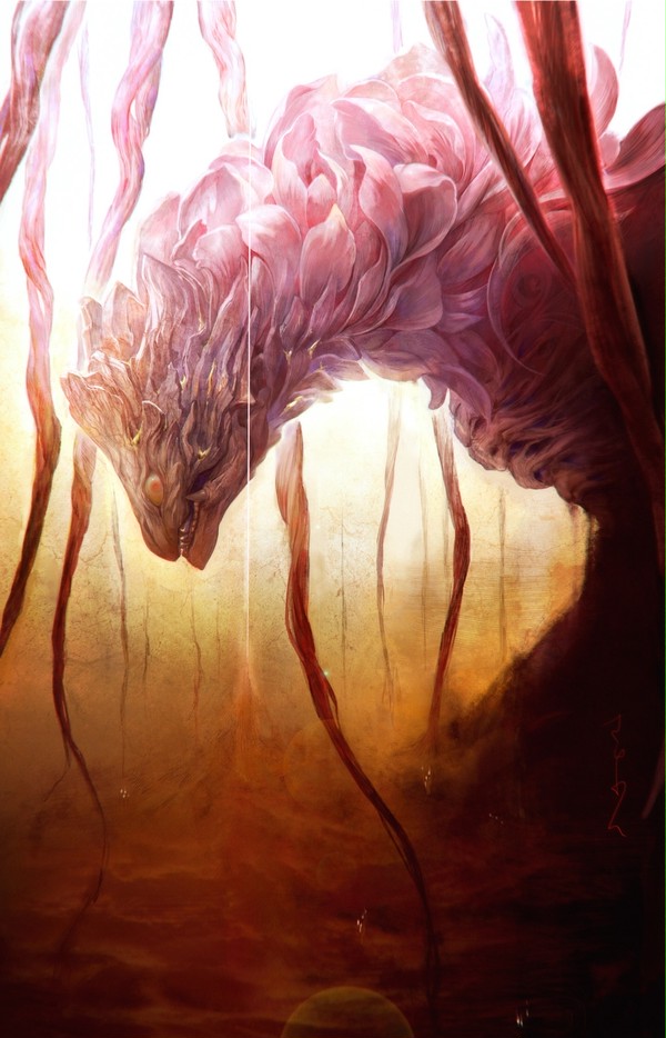 一幻華