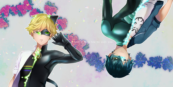 MiraculousLadybug Log2