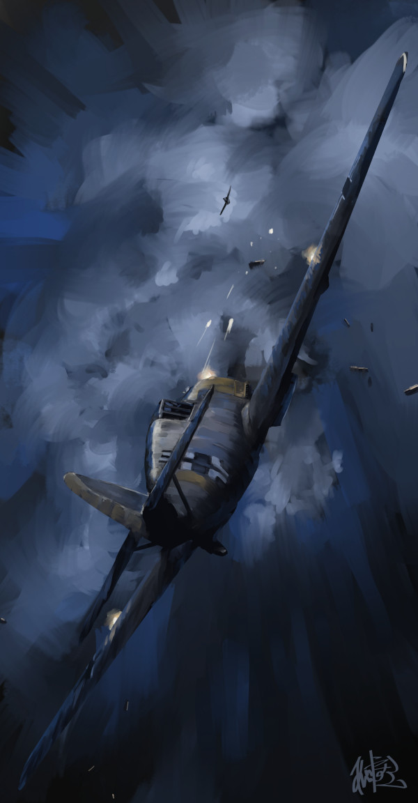 fighter