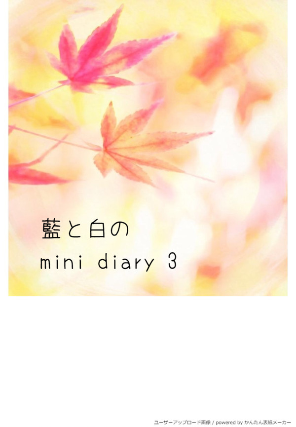 藍と白の mini diary 3
