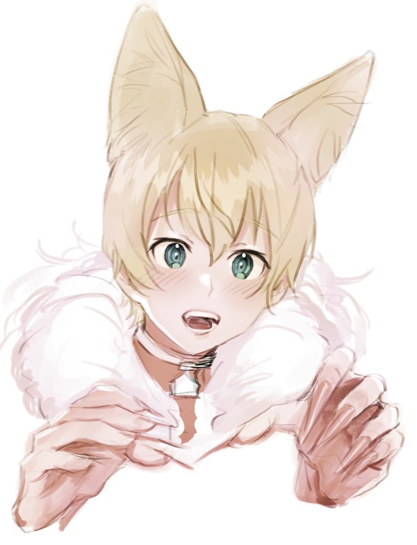 SAO まとめ