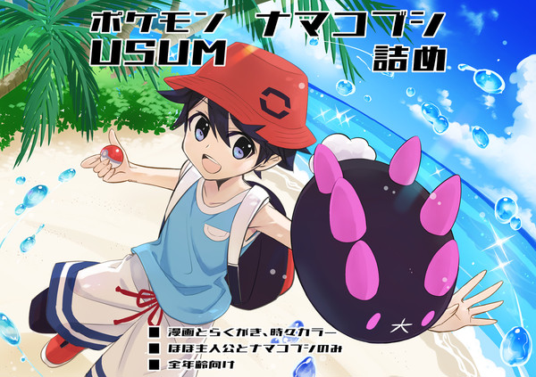 ポケモンUSUMナマコブシ詰め