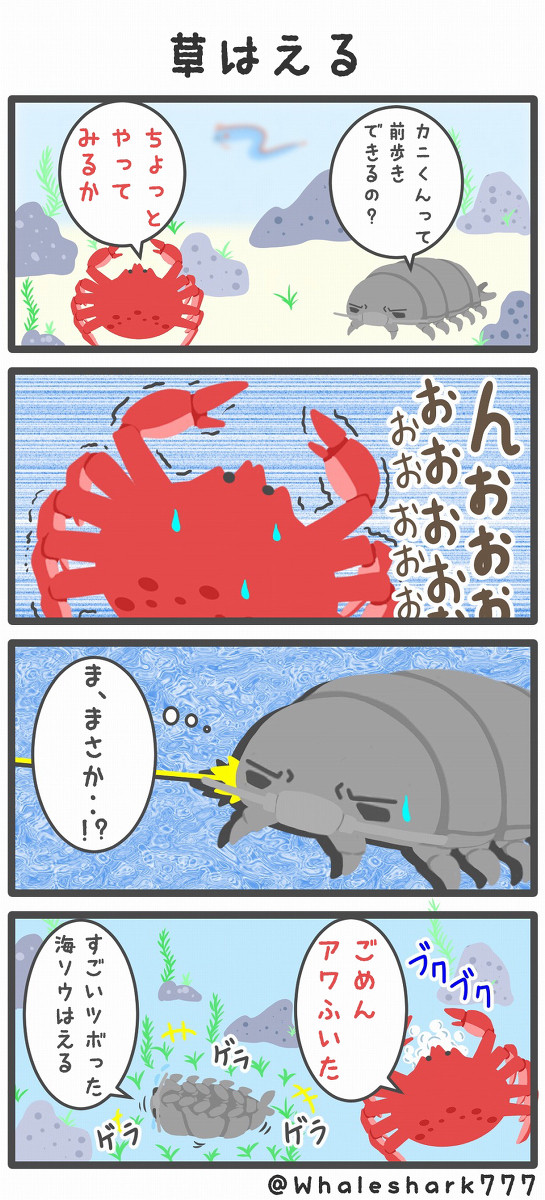 【のんびりあくありうむ】草はえる