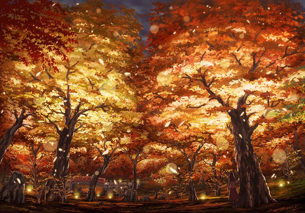 紅葉の灯