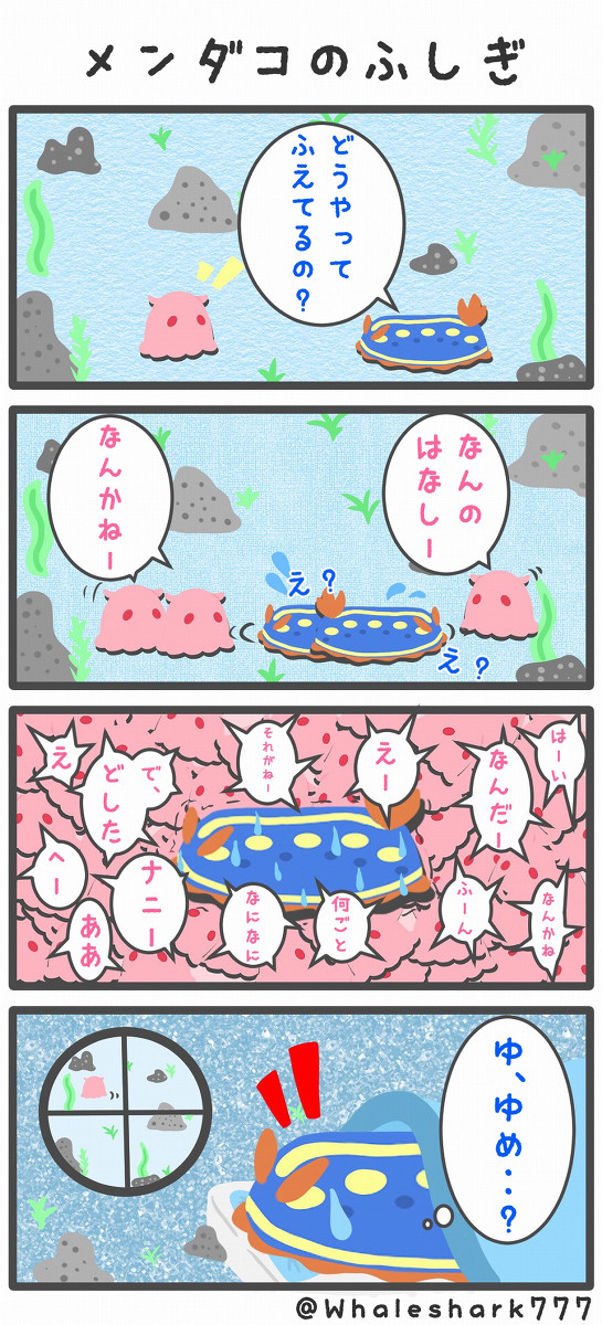 【のんびりあくありうむ】メンダコのふしぎ