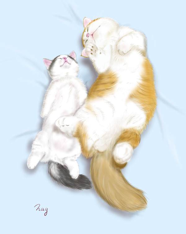 猫の昼寝