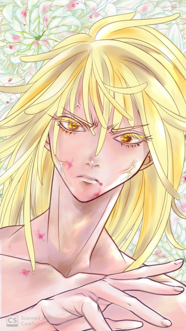 二人でひとつ  菊花